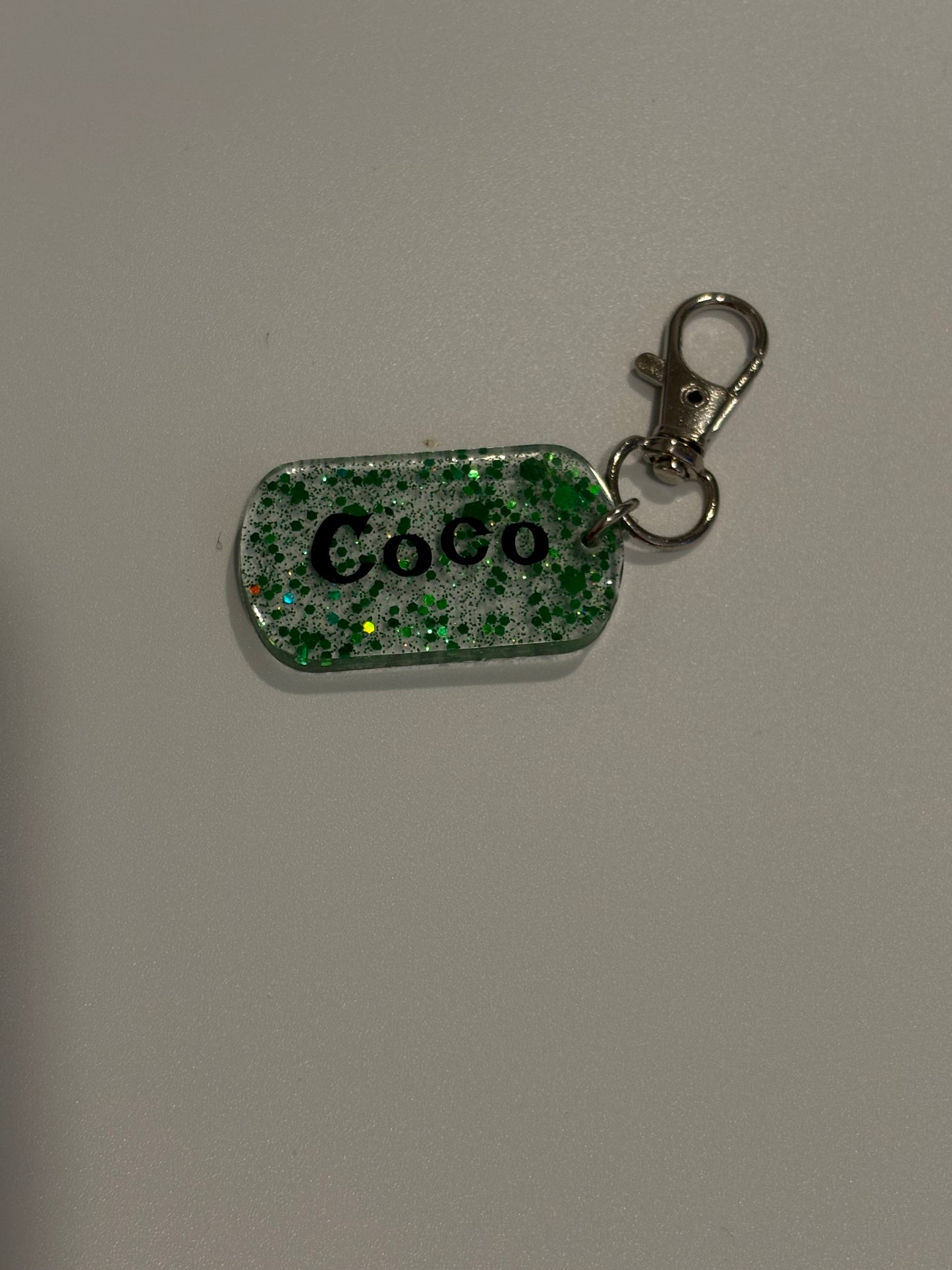 Pet tag and keychain